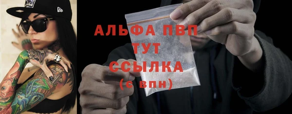гидра Белокуриха