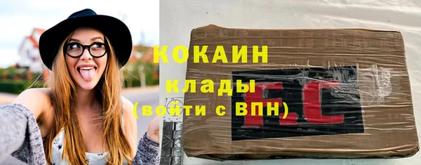 дживик Баксан