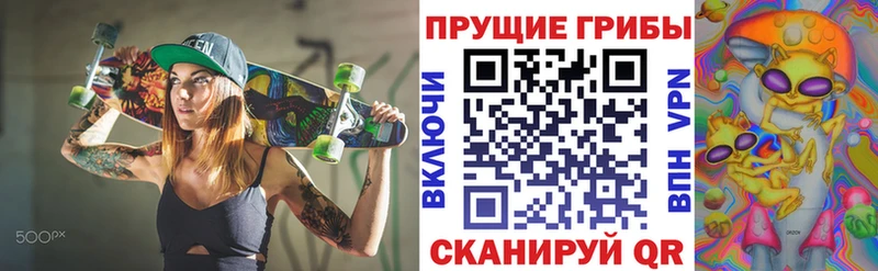 маркетплейс наркотические препараты  блэк спрут зеркало  Покровск  Галлюциногенные грибы ЛСД 